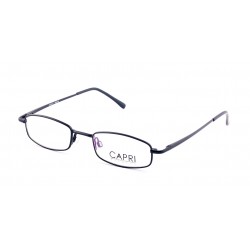 CAPRI028