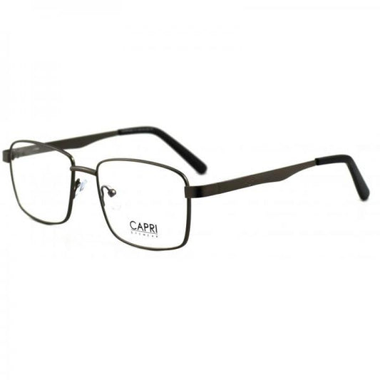 CAPRI486C1 GUN 54-19-140
