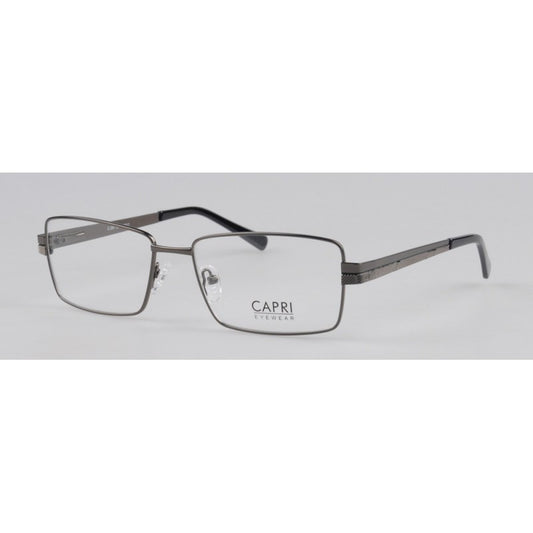 CAPRI291C1GUN 58-17