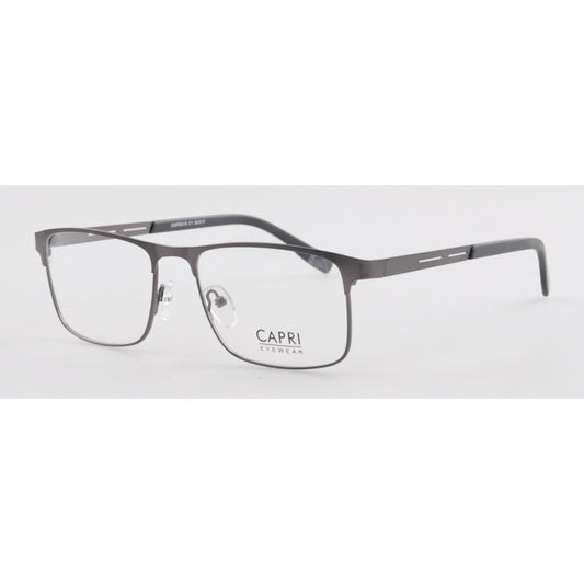 CAPRI318C1GUN 55-17-145